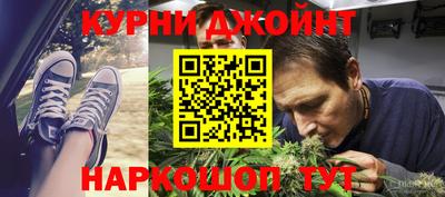 сатива Пенза